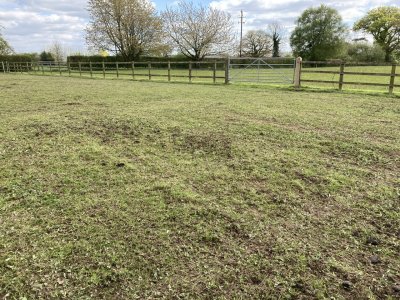 IMG_3776.jpeg IMG_3776.jpeg