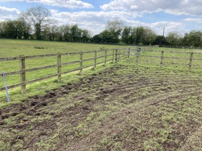 IMG_3780.jpeg IMG_3780.jpeg