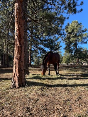 IMG_9918.jpeg IMG_9918.jpeg