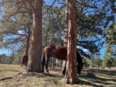 IMG_9919.jpeg IMG_9919.jpeg