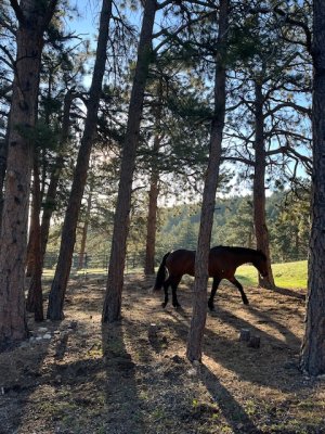 IMG_9908.jpeg IMG_9908.jpeg