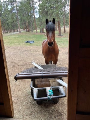 IMG_9923.jpeg IMG_9923.jpeg