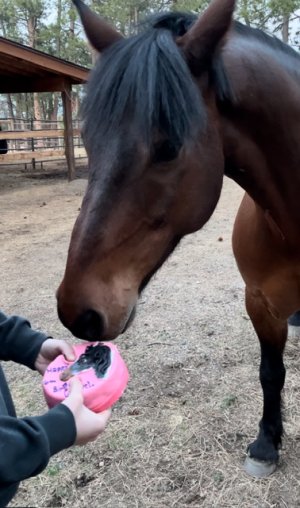 IMG_9926.jpeg IMG_9926.jpeg