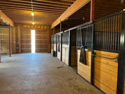 IMG_9849.jpeg IMG_9849.jpeg