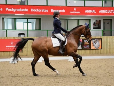 20240427183946789.jpeg 20240427183946789.jpeg