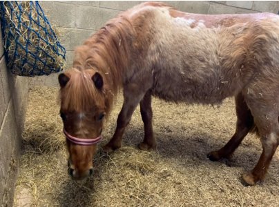 IMG_5724.jpeg IMG_5724.jpeg