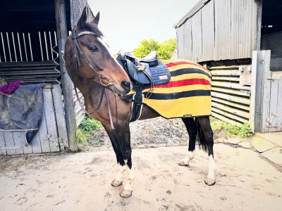 3551D360-4FFD-4E7C-BC4E-BBA38574414B.jpeg 3551D360-4FFD-4E7C-BC4E-BBA38574414B.jpeg