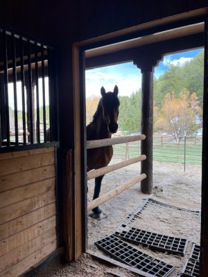 IMG_0078.jpeg IMG_0078.jpeg