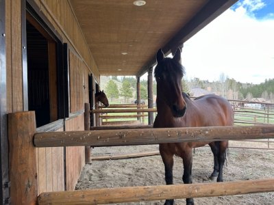 IMG_0076.jpeg IMG_0076.jpeg