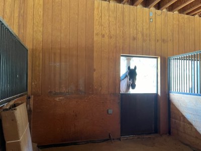 IMG_0077.jpeg IMG_0077.jpeg