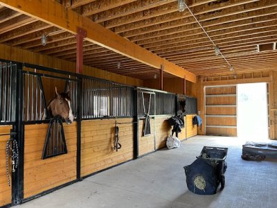 IMG_0066.jpeg IMG_0066.jpeg