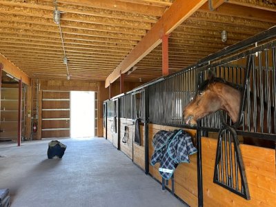 IMG_0083.jpeg IMG_0083.jpeg