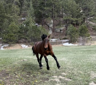 IMG_0099.jpeg IMG_0099.jpeg