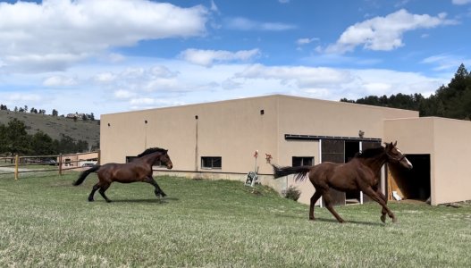 IMG_0092.jpeg IMG_0092.jpeg