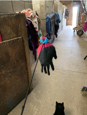 IMG_5730.jpeg IMG_5730.jpeg