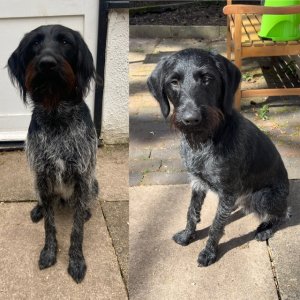 F307C625-9C72-4332-ABEB-5C5E778F9732.jpeg F307C625-9C72-4332-ABEB-5C5E778F9732.jpeg