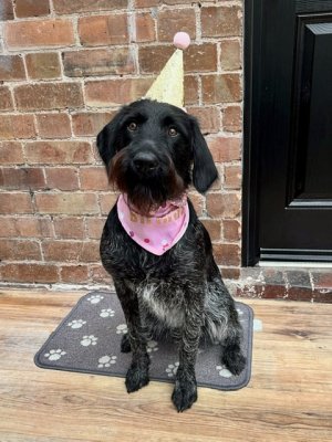 F3A39BFF-BED8-4FDE-83C3-A57D9A0523B5.jpeg F3A39BFF-BED8-4FDE-83C3-A57D9A0523B5.jpeg