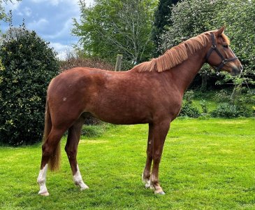 IMG-20240428-WA0148~3.jpg IMG-20240428-WA0148~3.jpg