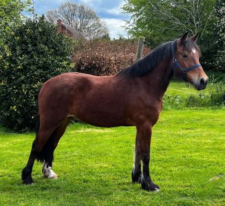 IMG-20240428-WA0020~3.jpg IMG-20240428-WA0020~3.jpg