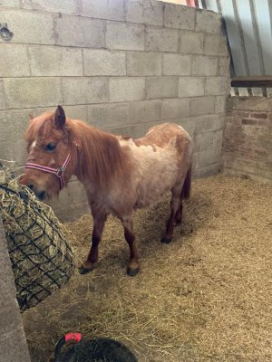 IMG_5770.jpeg IMG_5770.jpeg