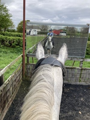 IMG_7670.jpeg IMG_7670.jpeg