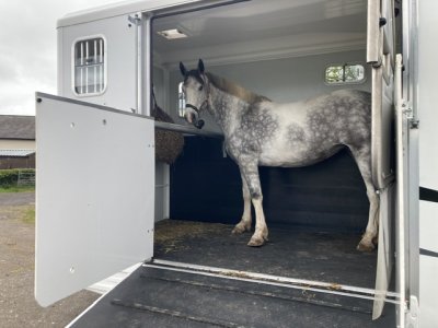 IMG_7667.jpeg IMG_7667.jpeg