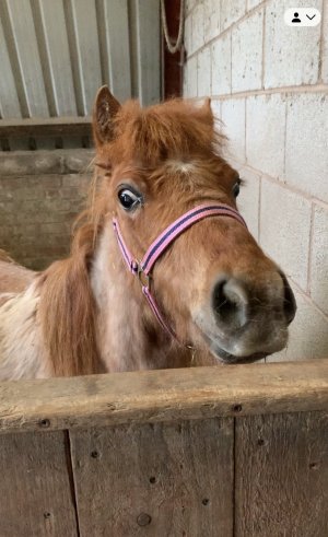 IMG_5823.jpeg IMG_5823.jpeg