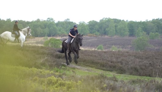 IMG_0915.jpeg IMG_0915.jpeg