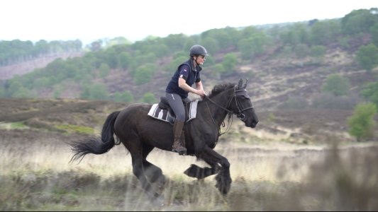 IMG_0921.jpeg IMG_0921.jpeg