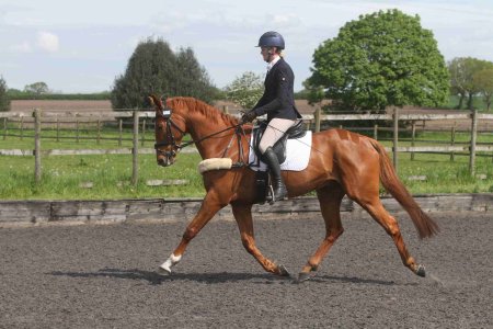 1000014330.jpg 1000014330.jpg