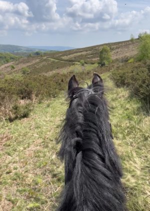 IMG_6120.jpeg IMG_6120.jpeg