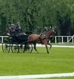 IMG_4917.jpeg IMG_4917.jpeg