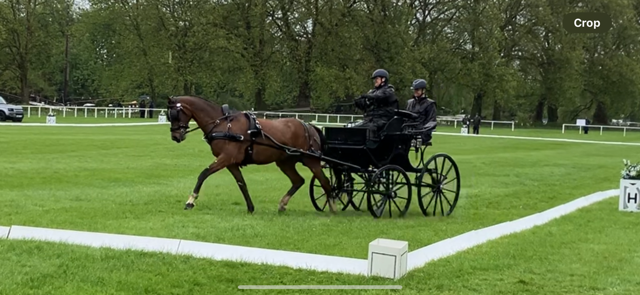 IMG_4925.png IMG_4925.png