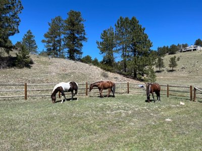 IMG_0402.jpeg IMG_0402.jpeg