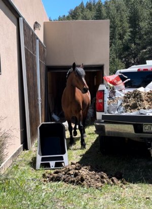 IMG_0427.jpeg IMG_0427.jpeg