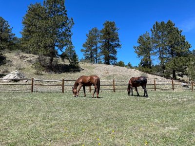 IMG_0420.jpeg IMG_0420.jpeg