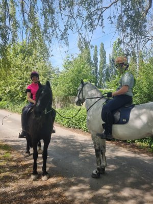 436293120_10226261259941911_7767941549964771387_n.jpg 436293120_10226261259941911_7767941549964771387_n.jpg