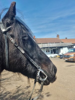 436205863_10226261265782057_1025139497139993190_n.jpg 436205863_10226261265782057_1025139497139993190_n.jpg