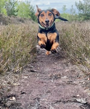 IMG_2884.jpeg IMG_2884.jpeg