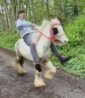 1715804105108.png 1715804105108.png