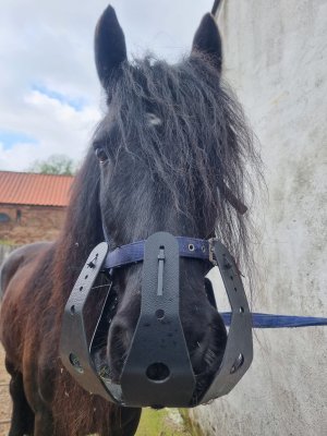 443720036_10226282540633915_3876296929402273969_n.jpg 443720036_10226282540633915_3876296929402273969_n.jpg