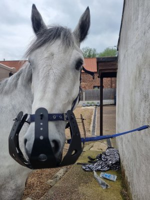 436497832_10226282540393909_8556754164637808486_n.jpg 436497832_10226282540393909_8556754164637808486_n.jpg