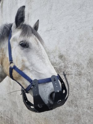 436315571_10226282540073901_1394054309115041609_n.jpg 436315571_10226282540073901_1394054309115041609_n.jpg