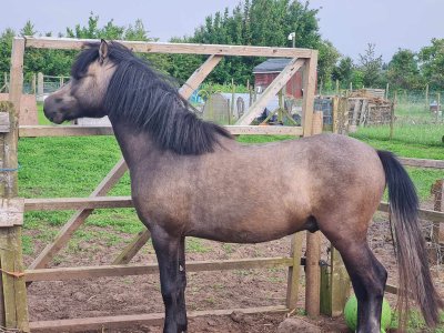 IMG_1386.jpeg IMG_1386.jpeg