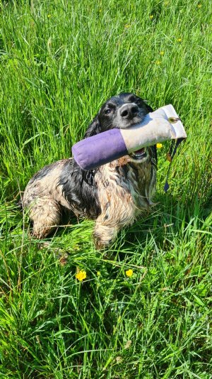 20240519_101151.jpg 20240519_101151.jpg