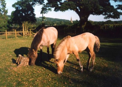 gerpla and vordis.jpg