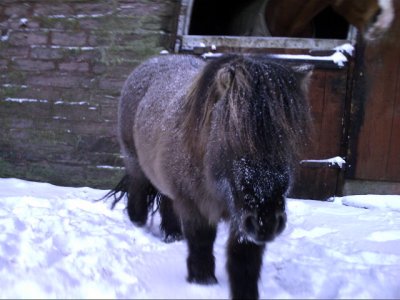 pict0082.JPG pict0082.JPG