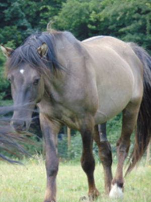 Screenshot 2024-05-20 at 10.11.29.png