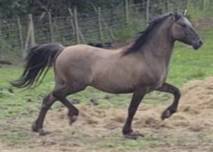 Screenshot 2024-05-20 at 10.12.26.png Screenshot 2024-05-20 at 10.12.26.png