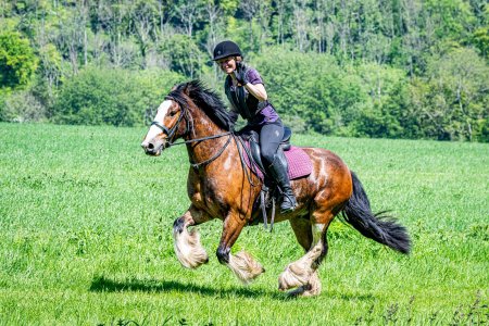 Raglan at Cholsey fun ride (1).jpg